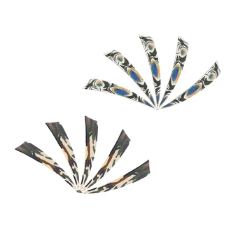 

5 Pieces Right Wing Shield Natural Feathers Hunting Arrow Fletching for Target Shooting