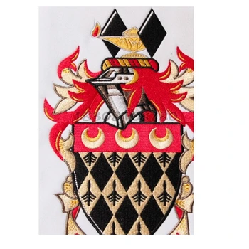 

CUSTOM embroidery processing cloth stickers company team LOGO clothes school badges badge