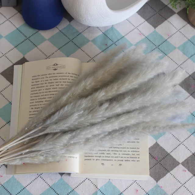 Dekoration 15Pcs Free Shipping Dried Pampas Grass Decor Wedding Flower Bunch Natural Plants for Home Christmas Decorations gray