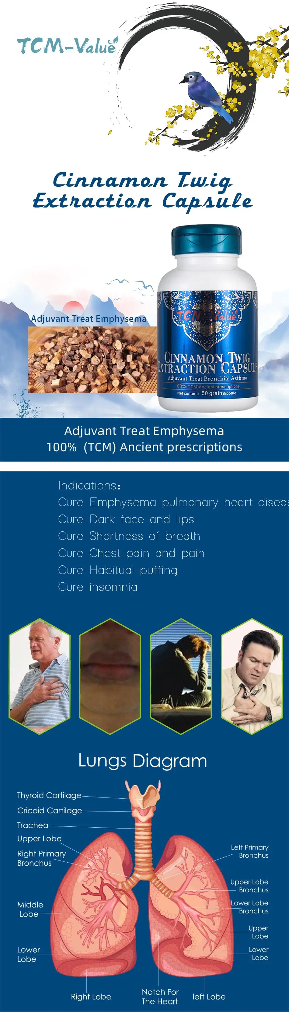 TCM-Value капсула для экстракции веточки корицы, Adjuvant Treat Emphysema, лечение одышки, лечение привычного пыхления, 50 шт