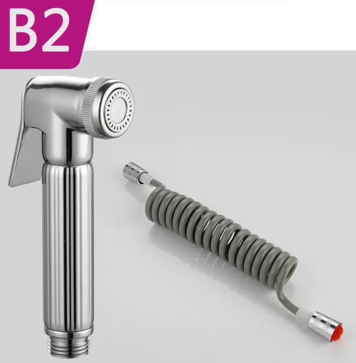Bathroom bidet (1)