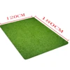 Modern and Simple Imitation Green Lawn Grass Mats, Green Carpets Rug, Flannel Soft Mats, Non-slip Mats for Living Rooms 3