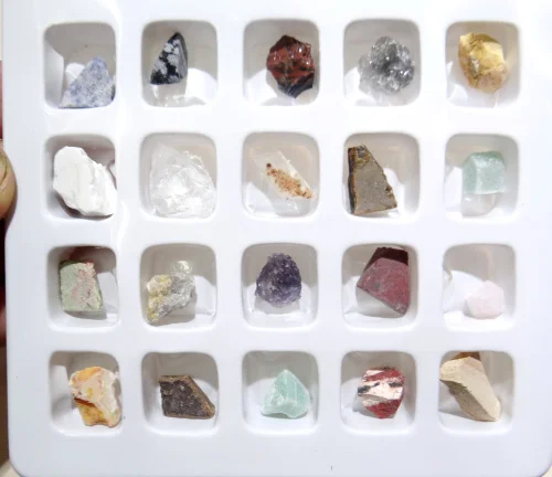 DSC05342