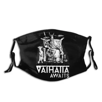 

3D Print Odin Valhalla Awaits Vikings Graphic Print Reusable Mask High Quality Anti Haze With PM2.5 Filters