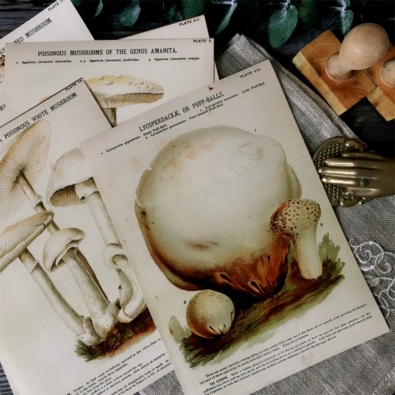 А5 европейские и американские состаренные грибы растение иллюстрация материал бумага DIY альбом для скрапбукинга счастливый план декоративная бумага