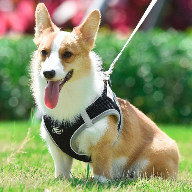 

Dog Leash Harness Set Reflective Breathable with Velcro Quick Release Buckle for Small & Medium Puppies