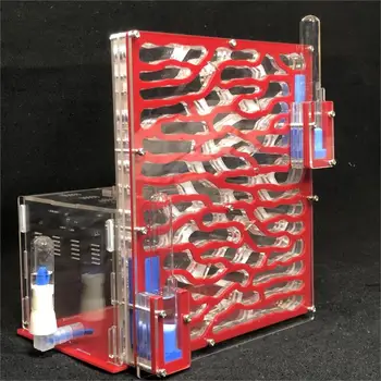 

Acrylic Ant Farm With Feeding Area Big Ants House Large Ant Nest Villa Insect Pet Anthill Workshop 6 Layers 19.5*15*22cm