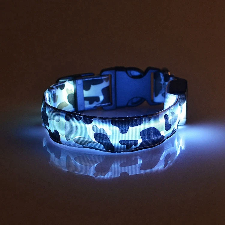 dog collar (5)
