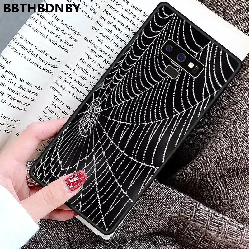Spider Web