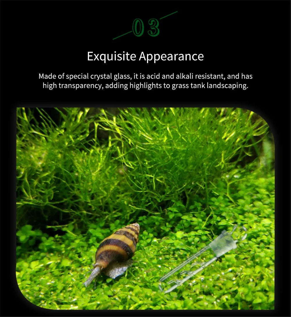 Aquarium Planaria Trap FIsh Tank Clear Glass Catch Trap for Cherry Shrimp Crystal Red Shrimp Dwarf Shrimp Flat Worms Leeches