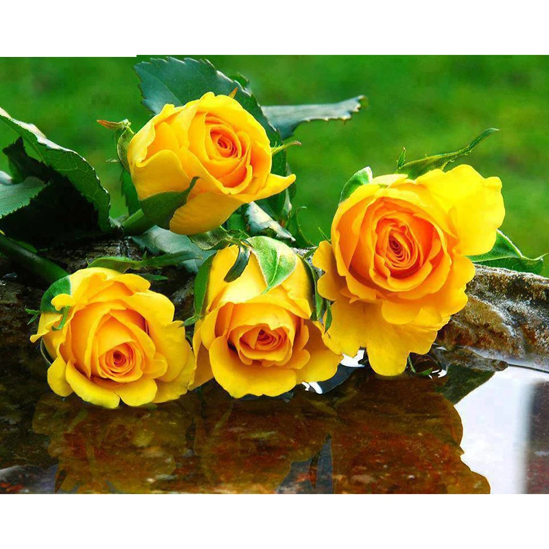 Valentine's Day gift 5D DIY Full drill Diamond Painting Cross Stitch Yellow rose Flower Embroidery Rhinestone Mosaic WG1835 | Дом и сад