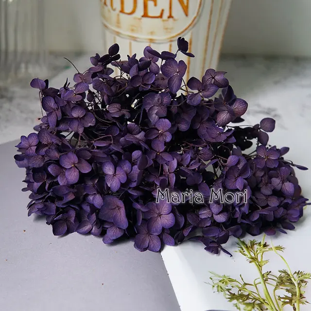 Anna Hydrangea  Flowers  Little  Leaves Preserved Hydrangea Decor  Office Decor  DIY Flowers Color S004