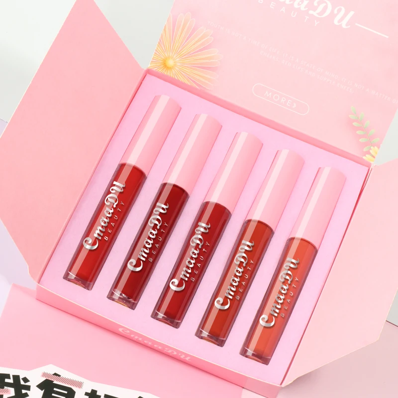5pcs/Set Lipstick Lip Gloss Lip Glaze Professional Makeup Matte Lipstick Lip Kit Long Lasting Moisturizing Cosmetic Maquiagem 5pcs/Set Lipstick Lip Gloss Lip Glaze Professional Makeup Matte Lipstick Lip Kit Long Lasting Moisturizing Cosmetic Maquiagem