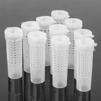

Classic 100pcs Beekeeping Equipment Plastic Safety Material Wear Resistance Marker Feeding Bottle Non Toxic Catcher Tool