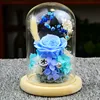 Diameter=10cm Different Height=12cm 15cm 18cm Log Base Glass Dome Home Decoration DIY Cover Friend Favor Gift Wedding Live Prop 2