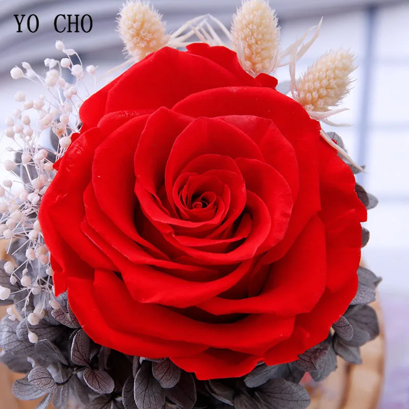 YO CHO Dried Flowers Rose Eternelle Prince Glass Cover Fresh Preserved Roses Flower In Dome for Wedding Decoration Gift for Wife5