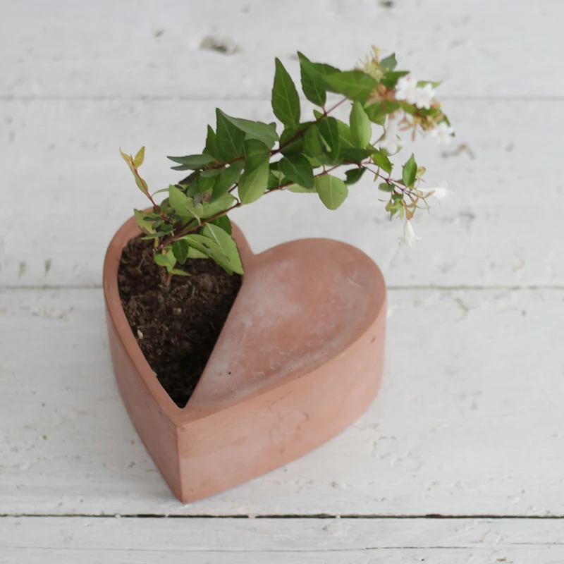 113 (4)