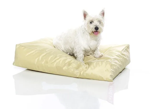Профессиональный и ведущий производитель beanbag кровать собаки в Китае& спальная Подушка кровать собаки