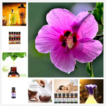 

1 Bottle 10ML Pure Essential Oil Rose of Sharon Aroma Humidifier Diffuser Aromatherapy Oil Removal of Mite Nourish Skin Care