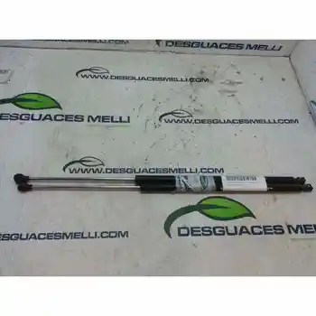 

BOOT SHOCK ABSORBERS/PORTON PEUGEOT PARTNER (S1)