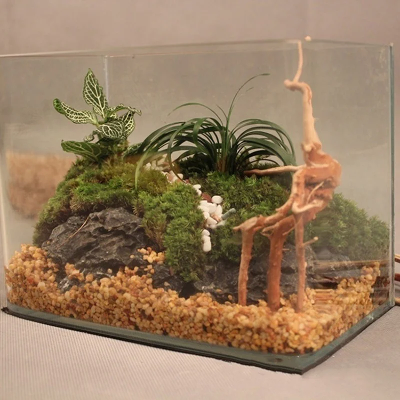Натуральное дерево ствол driftwwood аквариума делая растение украшение Рыбы Орнамент цилиндрическая древесина рептилий корни бака