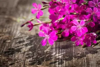 

Vinyl Custom Photography Prop Floral and Wood Planks theme Photo Studio Background TW19912-6652