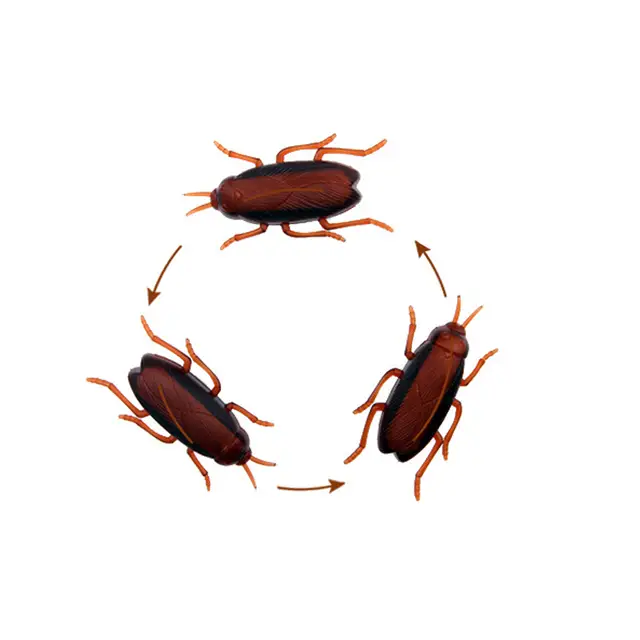 toy bugs that move