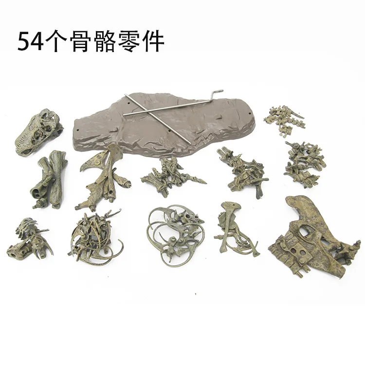 

Dinosaur Fossil Overlord Model Archeology Model Tyrannosaurus Skeleton Dragon No. Assembled Unisex Zhejiang Province Decoration