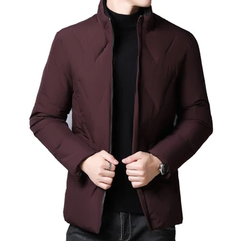

Stand Collar Parkas Thicken Windproof Down Jacket For Men Anti-pilling Outerwear Lightweight Short Style Winter Parka Jacket