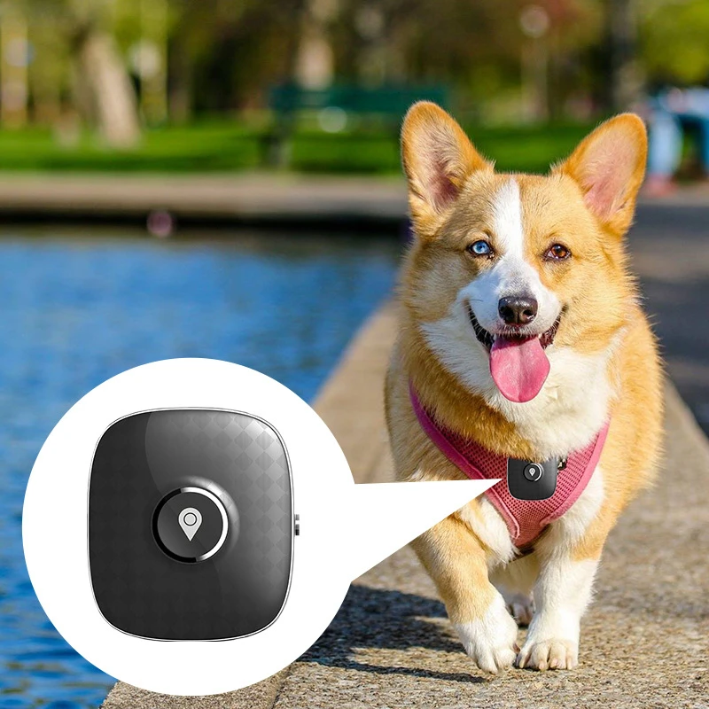Mini Collar inteligente 4G para mascotas, rastreador Gps resistente al agua, LBS, WiFi, para perros, gatos y niños con valla eléctrica