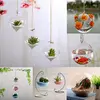 10 CM Transparent Clear Wall Hanging Glass Vase Terrarium Plants Flower Hydroponic Micro Landscape DIY Candlestick Home Decor 1