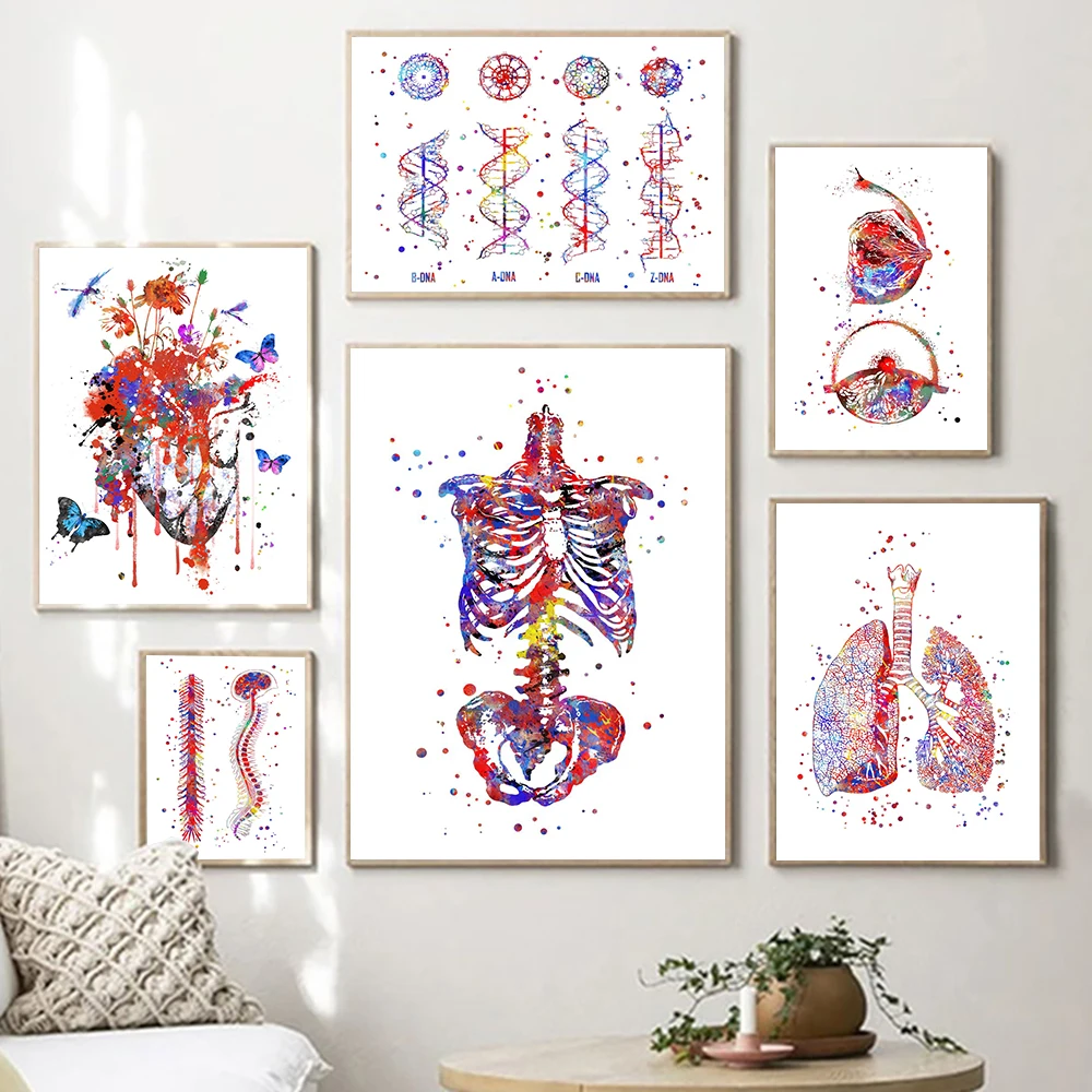 Arte de anatomía, corazón humano, cerebro, pulmones, pintura en lienzo, carteles nórdicos e impresiones, imágenes de pared para decoración de oficina y Doctor