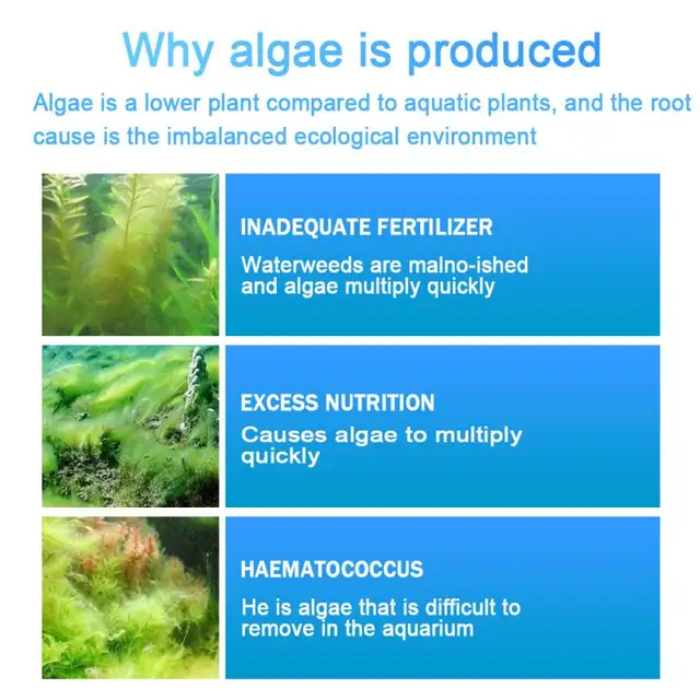 Aquarium Algaecide Aquatic Algae Removal Powder Control Detergent Purification Water Cleaning With Spoon Cleaning Tools Cocina 4