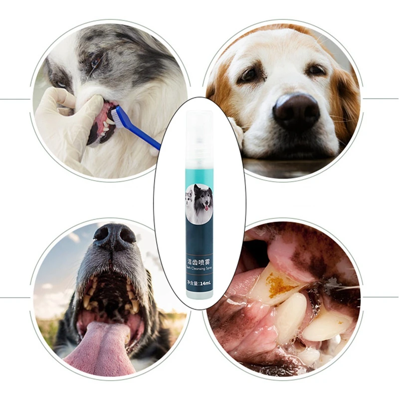 cleaning supplies safe for dogs