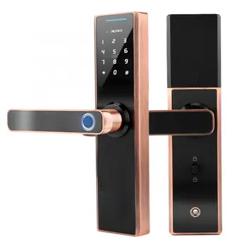 

Electronic Smart Fingerprint Password Card Double Tongue Door Lock Touch Screen with