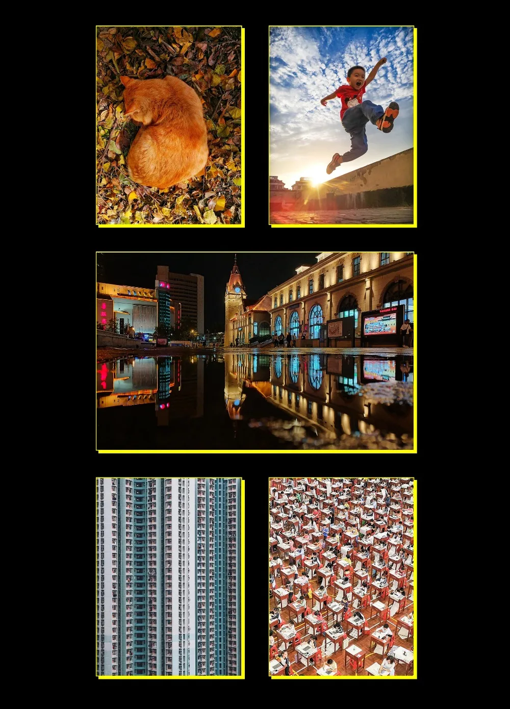 11