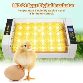 

24 lattice home egg incubator automatic egg incubator chicken duck quail pigeon incubator