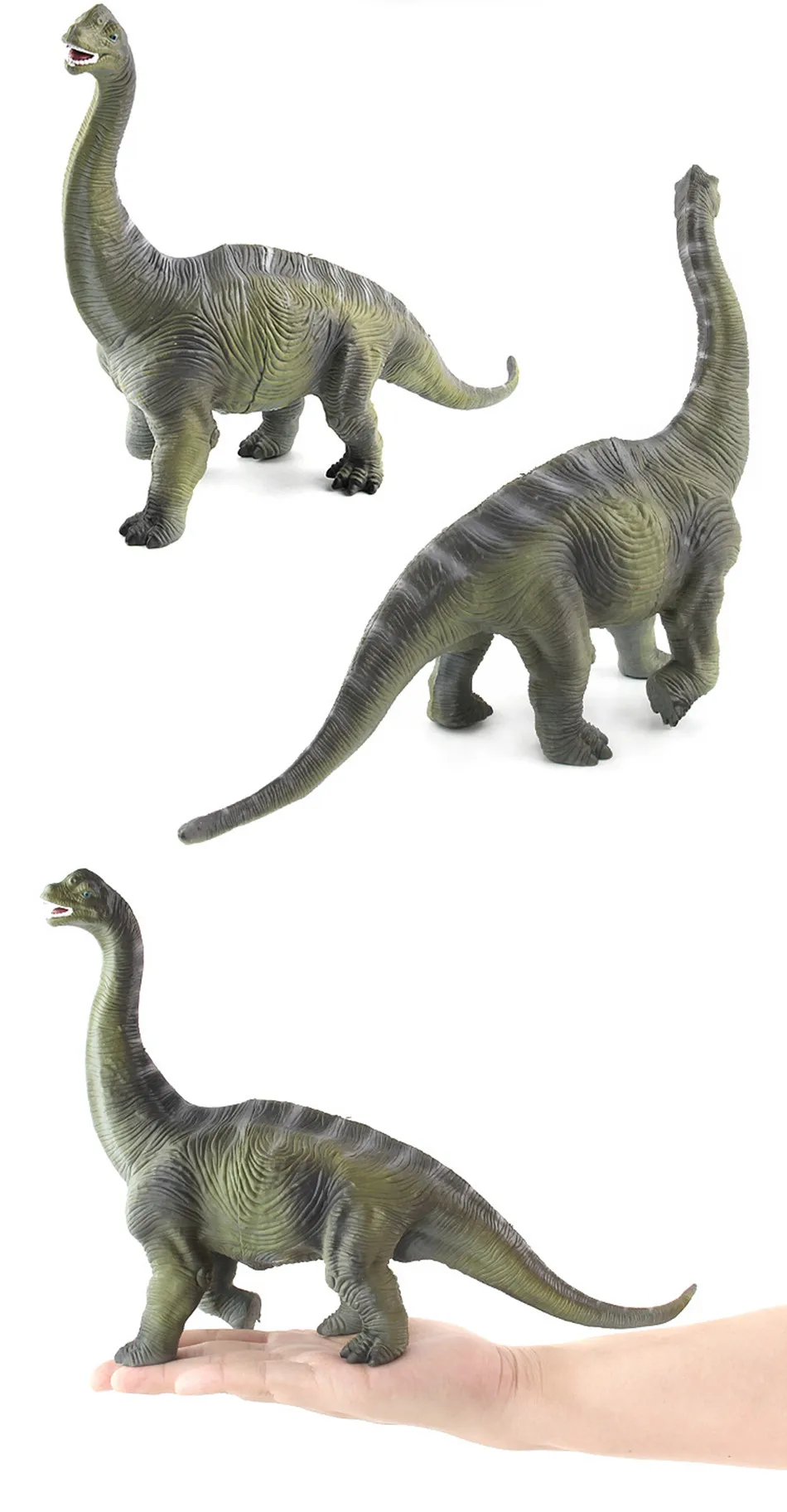 4734510043_202388549_副本