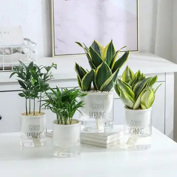 

Automatic Watering Planter Pot Ceramic Flowerpot With Glass Water Container For Green Plants Succulent Plant Cactus