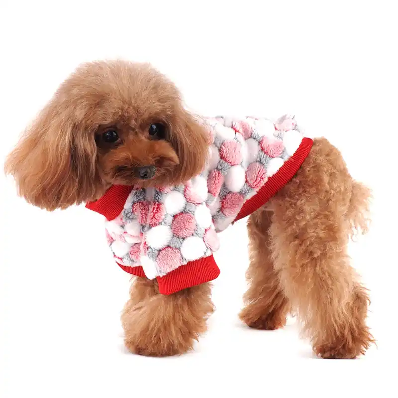cheap dog clothes for yorkies