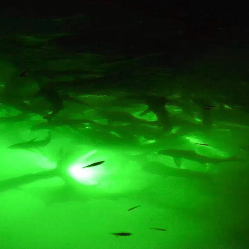 12 В рыболовный притягивающий светильник s светодиодный подводный светильник рыболовные приманки искатель лампа притягивает креветок кальмаров Крил 180 шт. 2835 Светодиодный s