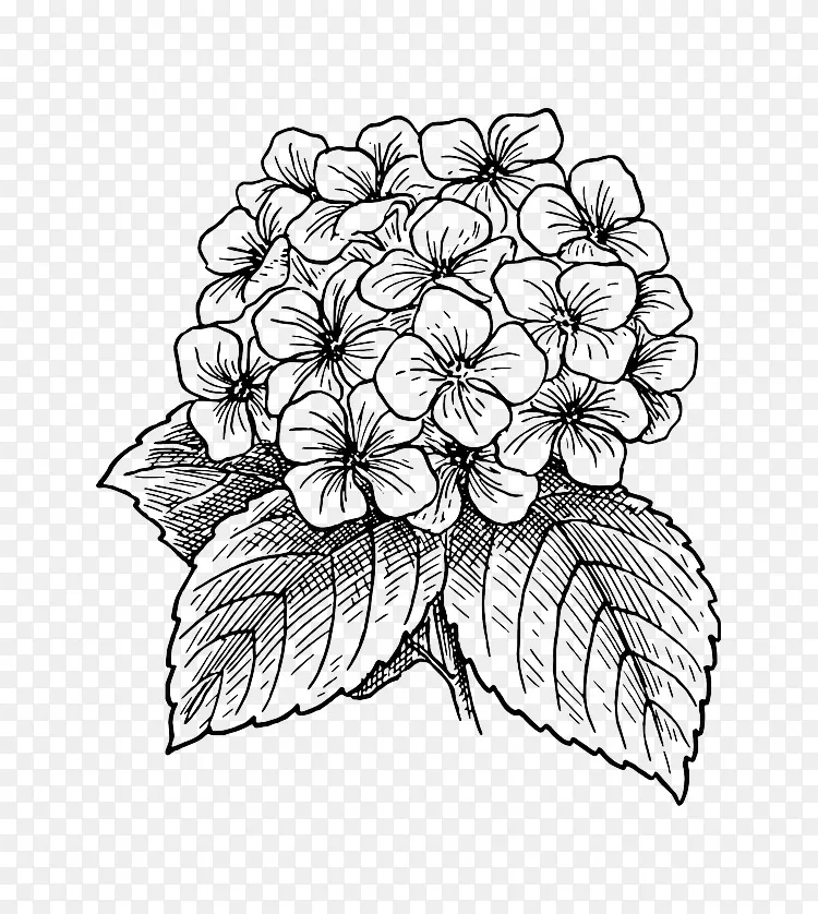 法国绣球花插花艺术-盛开百合花