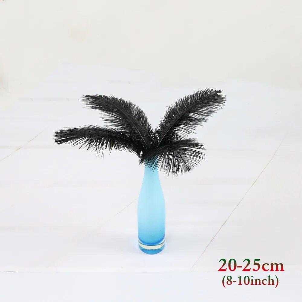 黑色 20-25cm 鸵鸟毛 1_副本