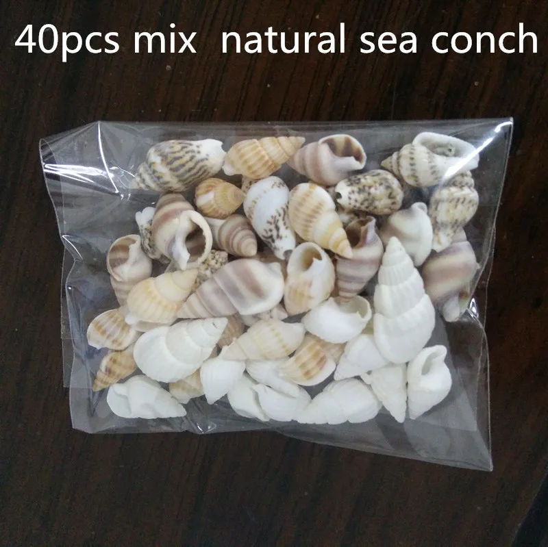 

40pcs Beautiful Beach Mixed Sea Shell Real Sea Shell Mix Sea Shell Starfishes Shells Craft SeaShell Aquarium Decal Decor Crafts