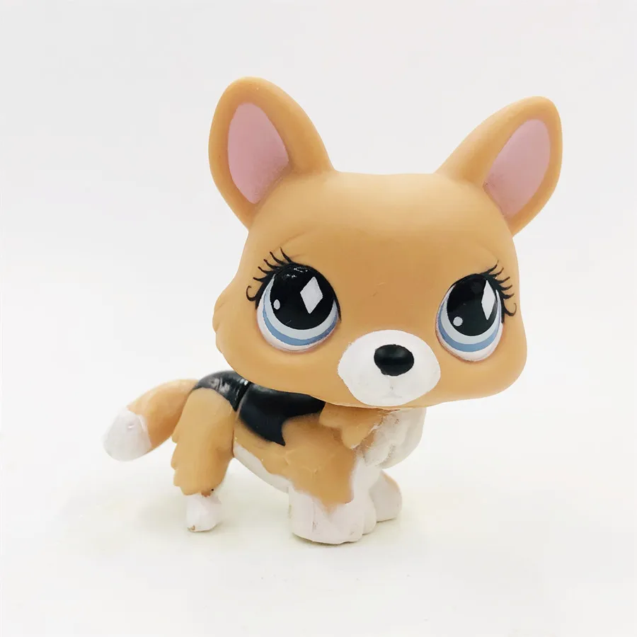 Фиолетовый Новая игрушечная кошка, игрушка, черный, розовый, милый, с круглым лицом, кот, прекрасный Petshop, фигурки животных, маленькие куклы, игрушки - Цвет: Фиолетовый
