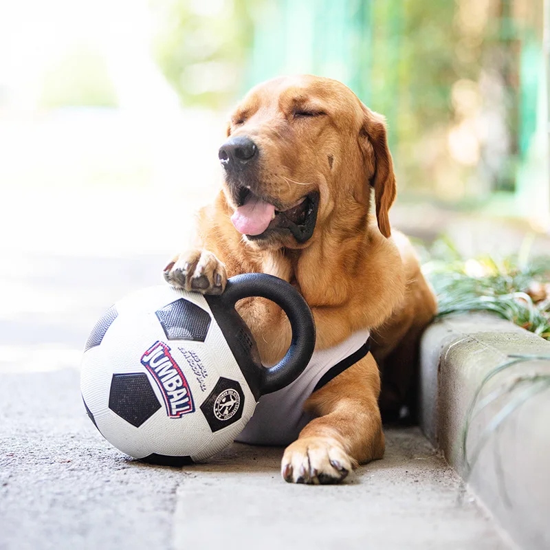 FootballtoysforlargedogsPettrainingtoysInflatablefootballs