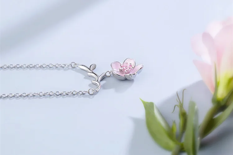 11295107650_1039125567