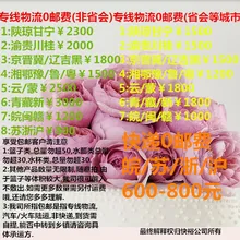 S50 29 зубная жемчужная расческа для волос для маленьких девочек, повязка на голову, аксессуары для волос, два юаня, поставка товаров, магазин товаров Dolla