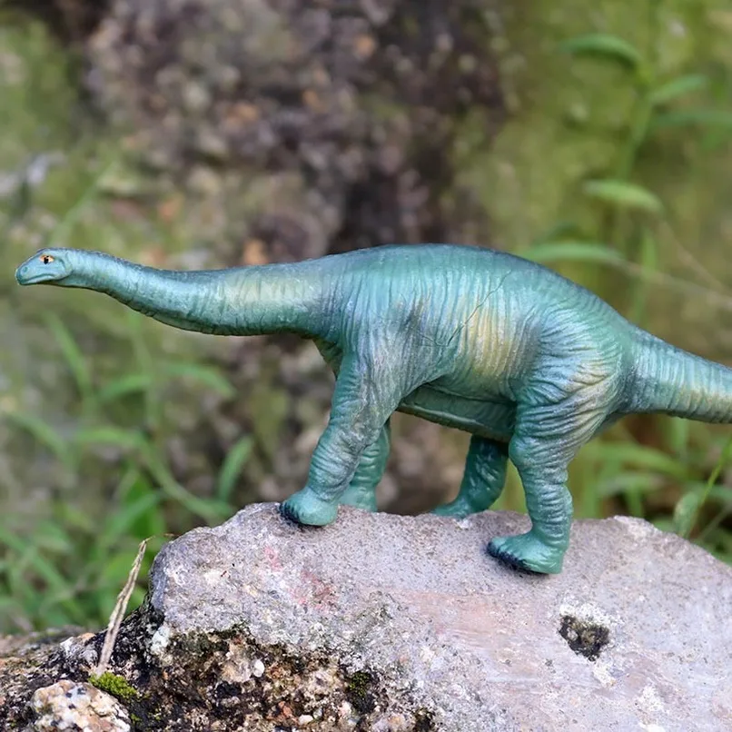 Cetiosaurus Dinosaur Figure Model Toy Collector Decor Kid Educational Toys Gift 