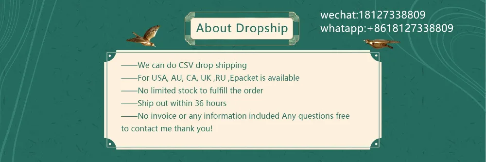 drop shippingg